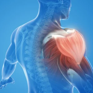 대표